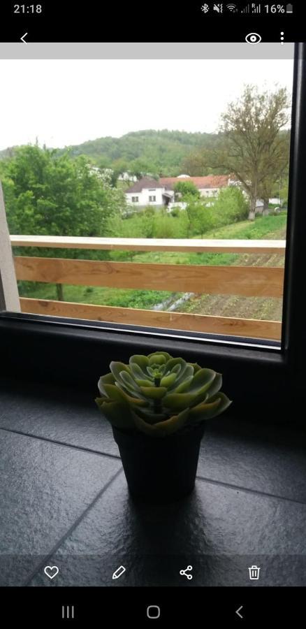 Hotel Eco Familia Pojoga Zewnętrze zdjęcie