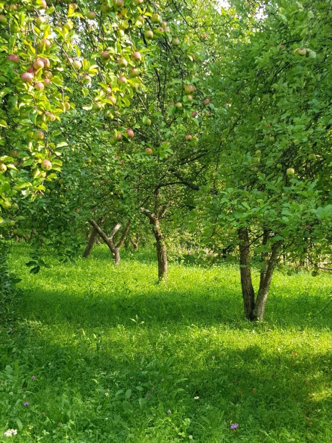 Hotel Eco Familia Pojoga Zewnętrze zdjęcie